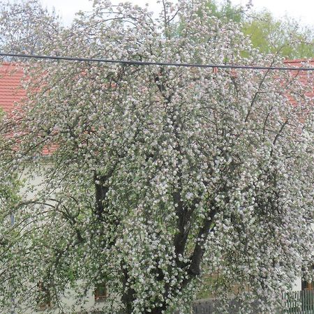Ferienwohnung Creutzer In Leipzig Gottscheina, Ideal Auch Fuer Monteure, Kostenfreies, Schnelles Wlan Kostenfreies Parken, Geraeumiges Appartment Mit 4 Einzelbetten, Komplettausstattung Kueche, Bad Mit Badewanne Und Dusche Waschmaschine, Waeschetrock Luaran gambar